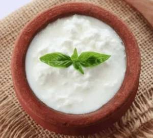 Plain curd