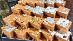 Roasted Burfi