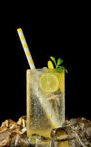 Salty Fresh Lime Water