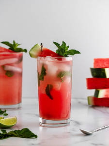 Watermelon Twist Mojito