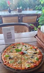 VEG DELIGHT PIZZA