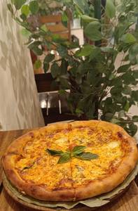 NEAPOLITAN MARGHERITA PIZZA