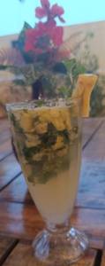 PINA COLADA