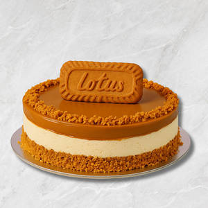 Lotus Biscoff Cheese Cake