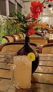 GINGER FIZZ