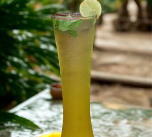 Mojito Mint