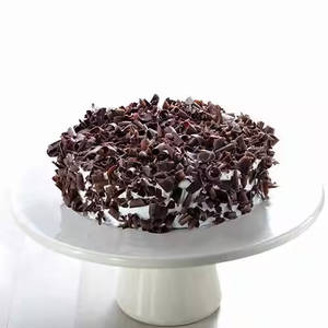 Black Forest Ice Cream Cake