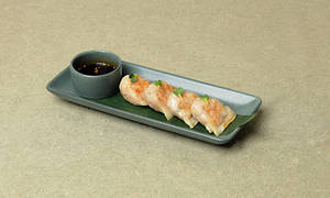Pan Fried Chicken Gyoza