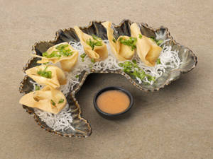 Philadelphia Cheese Wonton