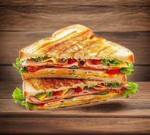 Special Grilled Veg Sandwich