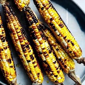 Street corn