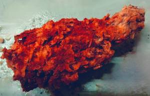 Peri peri chicken legs