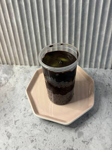 Chocolate Fudge Cup