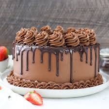 Chocolate Coated Cake