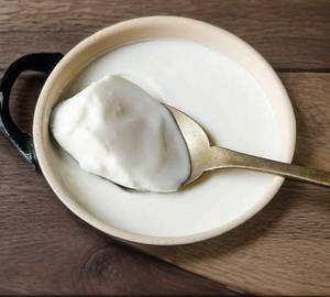 Plain Curd