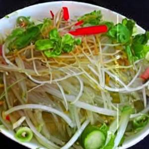 Green Papaya Salad