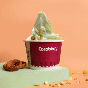 Green Apple Frozen Yogurt (with Toppings)