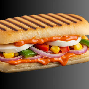 Veggie Delight Panini Sandwich
