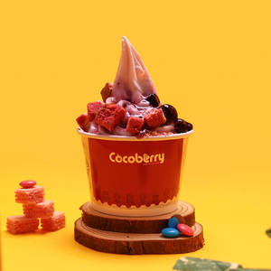 Blueberry Frozen Yogurt (with Toppings)