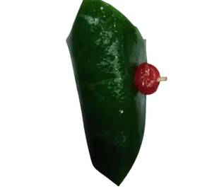 Calcutta Mitha Masala Paan