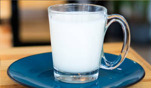 Hot Milk Regular