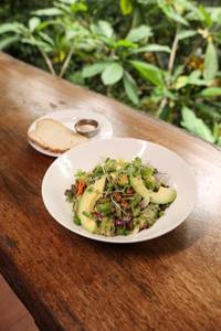 Avocado Salad