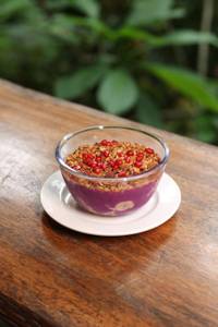 Jamun Smoothie Bowl
