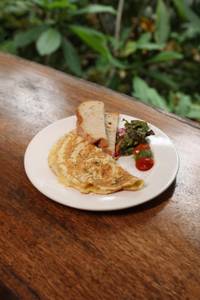 Classic Omelette