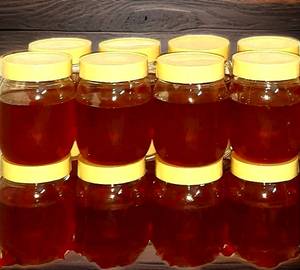 Pure Forest Honey 