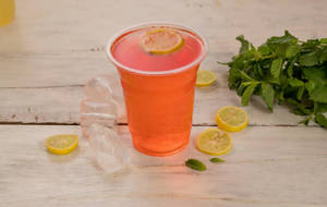 Watermelon Mojito