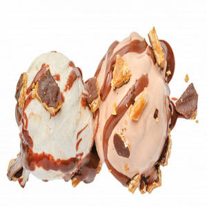 Nut Job Ice Cream Sundae