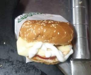 Double Cheese Burger