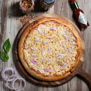 Cheese Onion Pizza