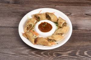 Veg Spring Roll