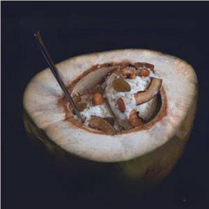 Fresh Coconut Ice Cream