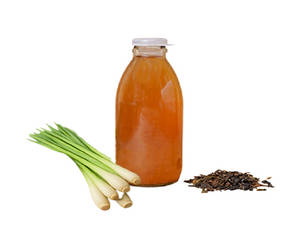 LEMONGRASS KOMBUCHA
