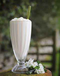 Plain Ice Cream [Thick Shake]