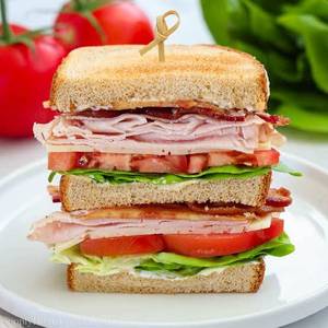Chicken sandwich [1000]