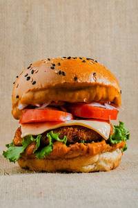 Desi Cousin Burger