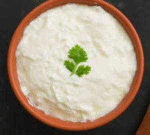 Plain Curd