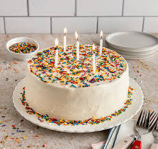 Chocolate Chocochips Cake