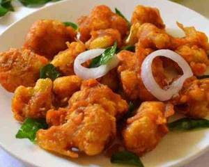 Gobi 65