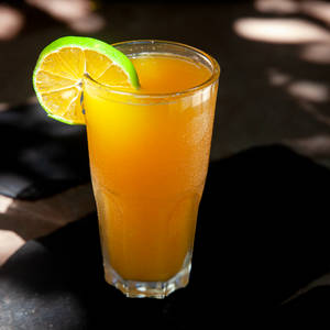 CITRUS OF THE SEASON