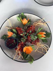 Veg Octupus