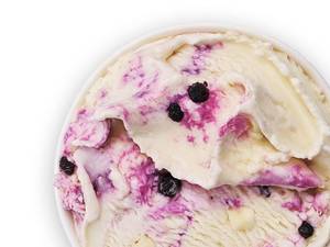 Blueberry Cheesecake Gelato