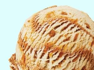 Lotus Biscoff Ice Cream