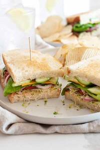 Veg. Sandwich