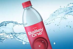 Water Bottle (500 ml)