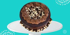 500gms Chocolate Chip Cake