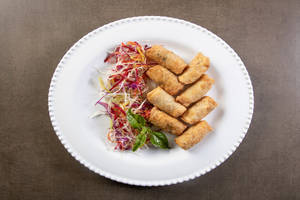 Veg Spring Roll
